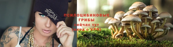 СК Баксан