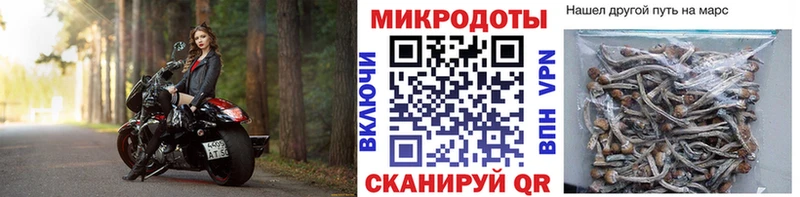ОМГ ОМГ ссылки  что такое наркотик  Ливны  Псилоцибиновые грибы Cubensis 
