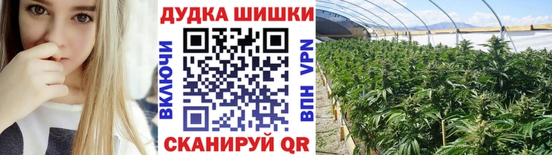 Бошки марихуана планчик Ливны